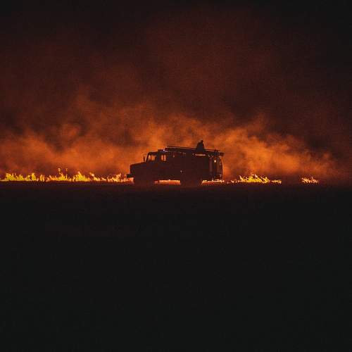 Photo #7980389