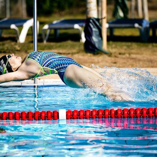 Photo #7980441