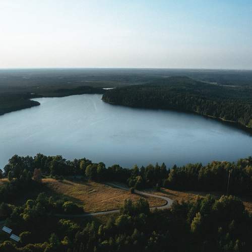 Photo #7980711
