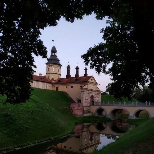 Photo #7981438
