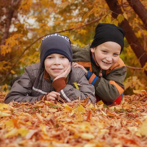 Photo #7981779