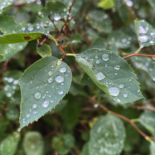 Photo #7982564