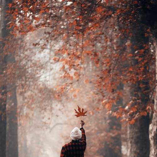 Photo #7982882