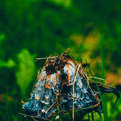 Photo #7982905