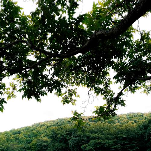 Photo #7983067