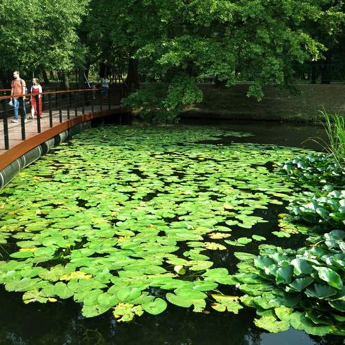 Photo #7983208
