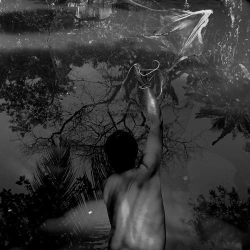 Photo #7983437