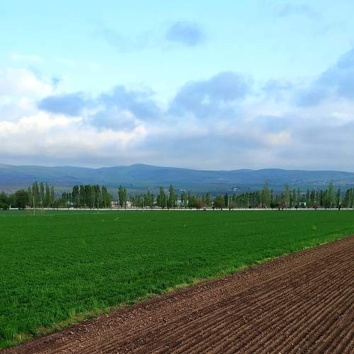 Photo #7984129