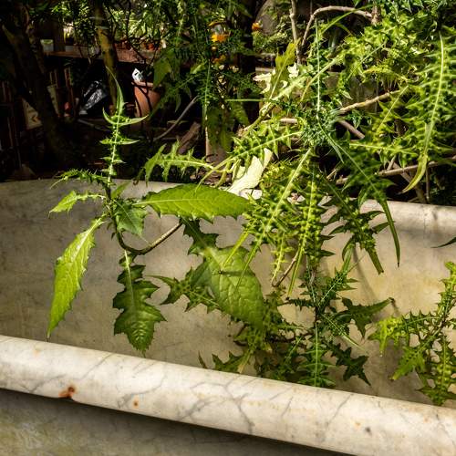 Photo #7984167