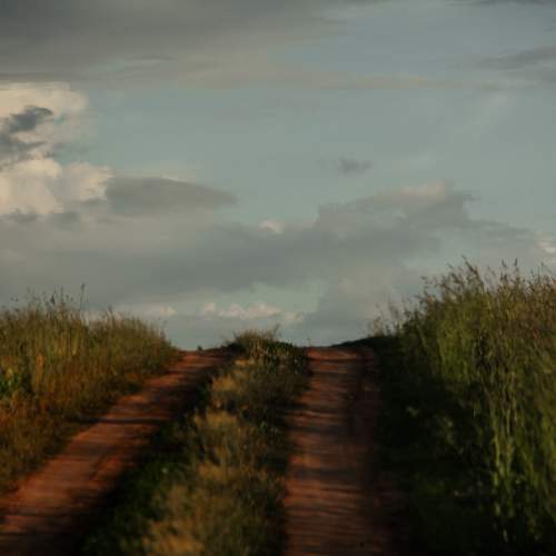 Photo #7984312