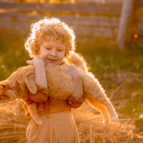 Фотография #7984538