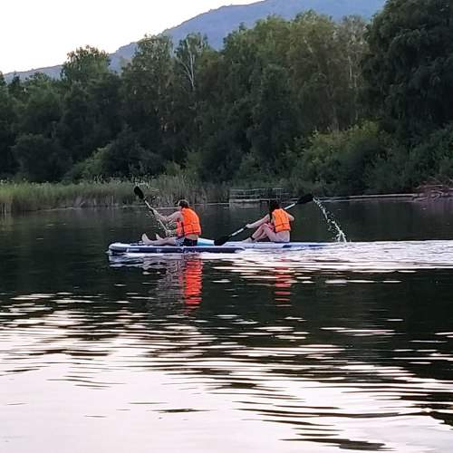 Photo #7984926