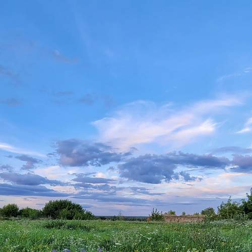 Photo #7985024
