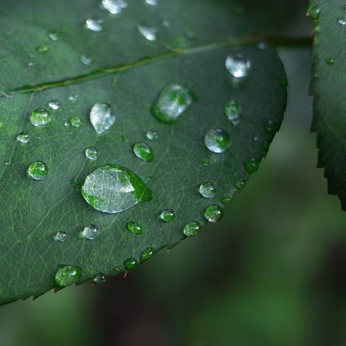Photo #7985229