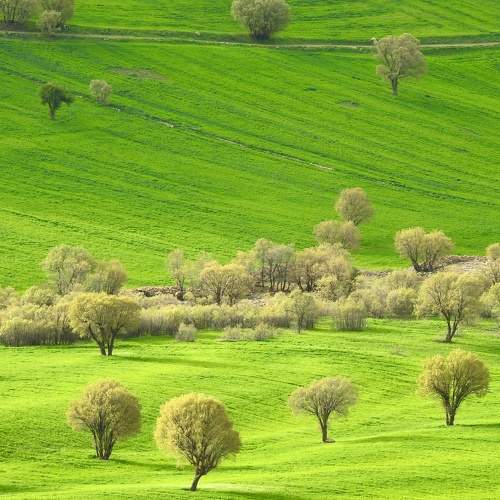 Photo #7985620