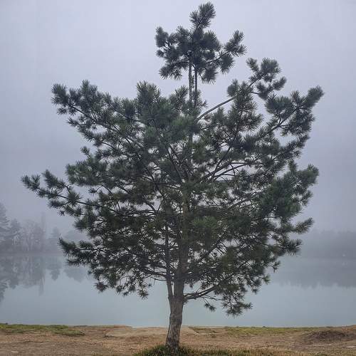 Photo #7986401