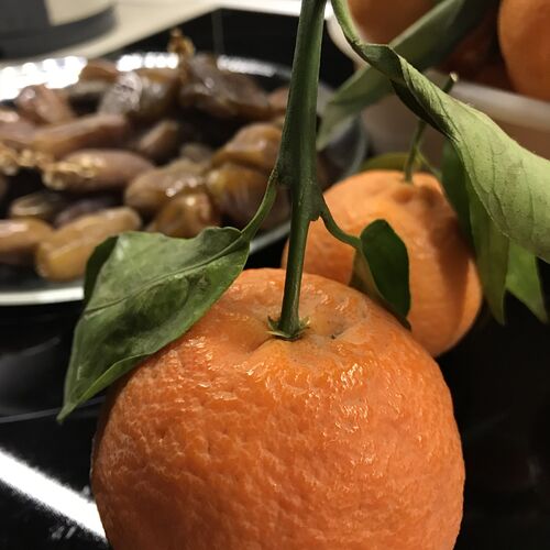 Photo #7986803