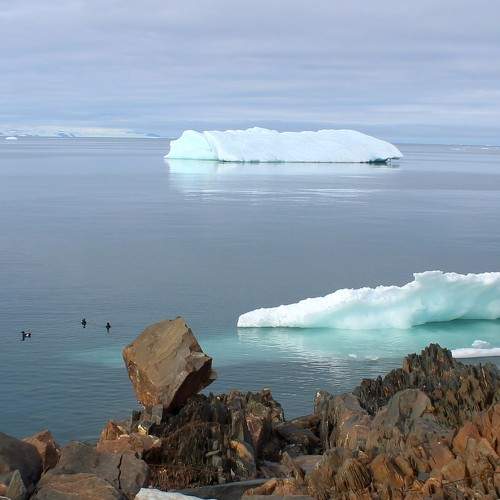 Photo #7987039