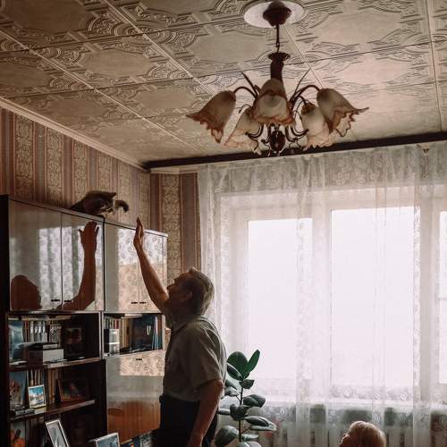 Photo #7987438