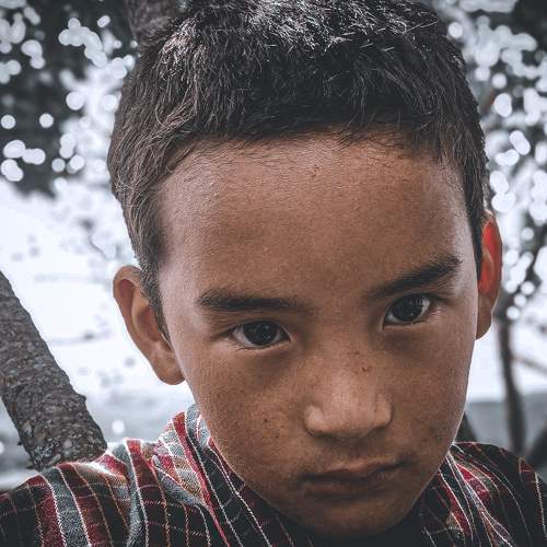 Photo #7987485