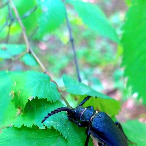 Photo #7988192