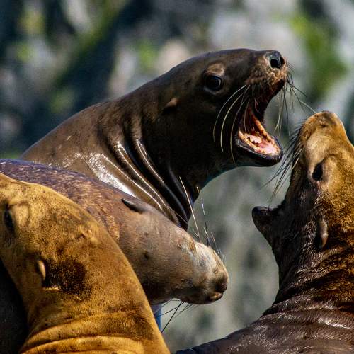 Photo #7988367