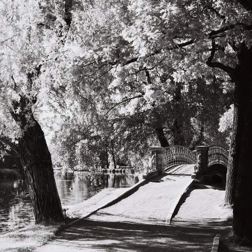 Photo #7988737