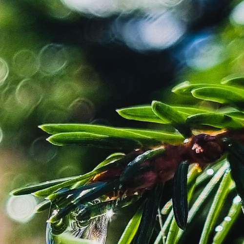 Photo #7988800