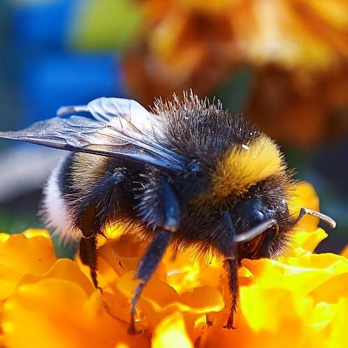 Photo #7990236