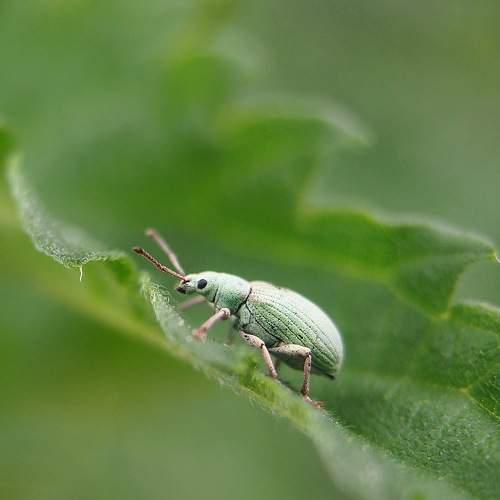 Photo #7991559