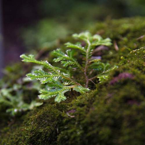 Photo #7991791