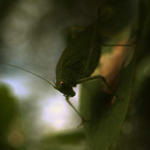 Photo #7991892