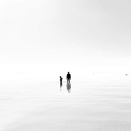 Photo #7992014
