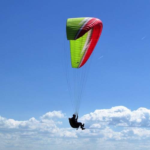 Photo #7992305