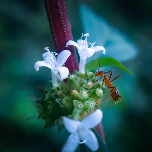Photo #7992853