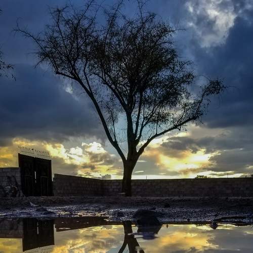 Photo #7992996