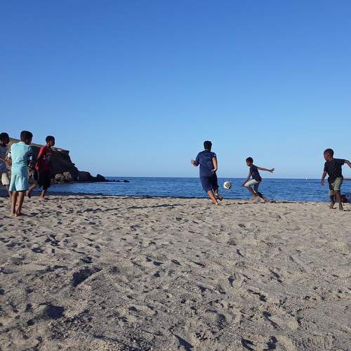 Photo #7993111