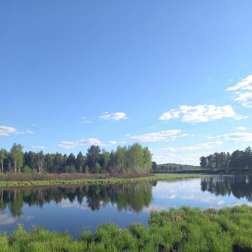 Photo #7993119