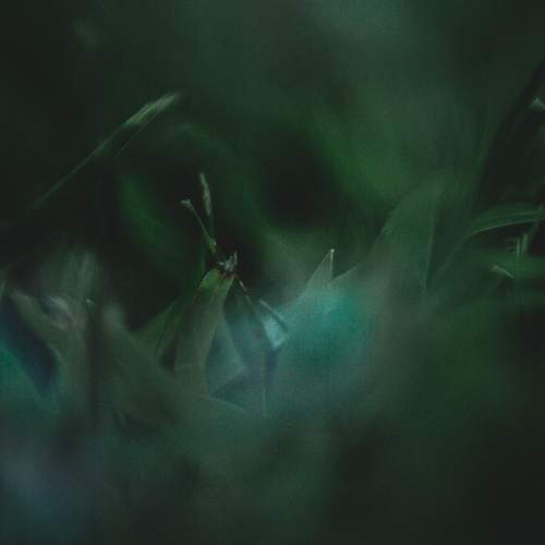 Photo #7993453