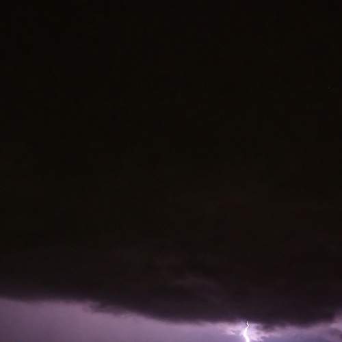 Photo #7993601