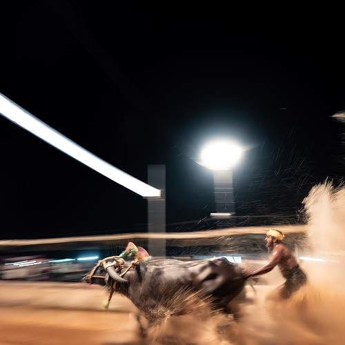 Photo #7993820