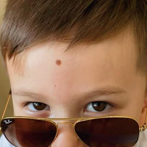 Photo #7994717