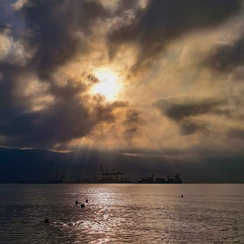 Photo #7994782
