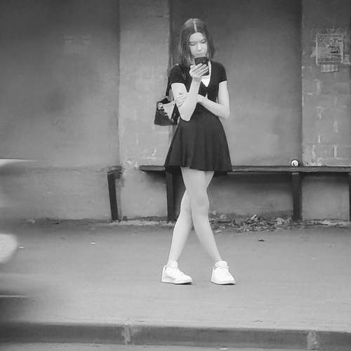 Photo #7995021