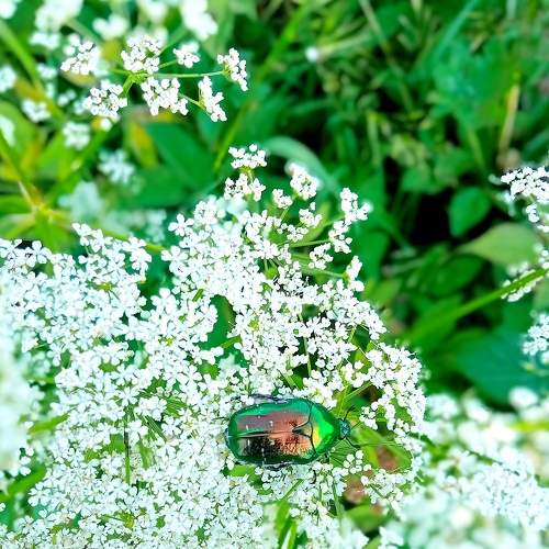 Photo #7995046