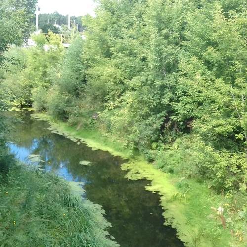 Photo #7995084