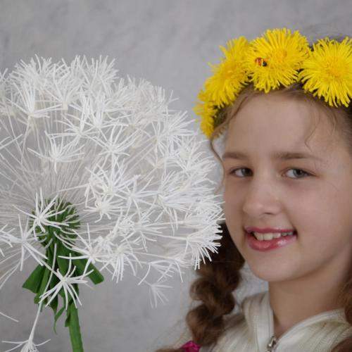 Photo #7995437