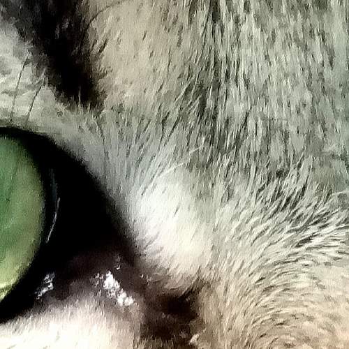 Photo #7995508