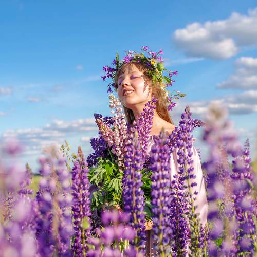Photo #7995640