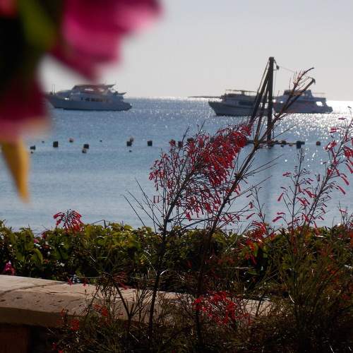 Photo #7996491